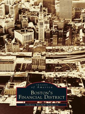 Cover of the book Boston's Financial District by Mike Cosden, Brent Newman, Chris Pendleton, Thomas Edison & Henry Ford Winter Estates