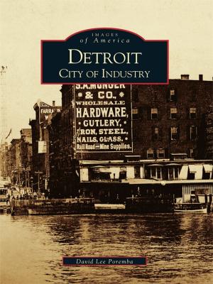 Cover of the book Detroit by Harriet Brill Outlaw