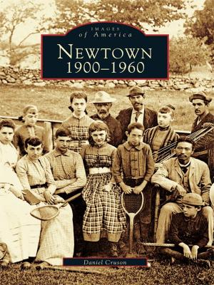 Cover of the book Newtown by Betty J. Cotter