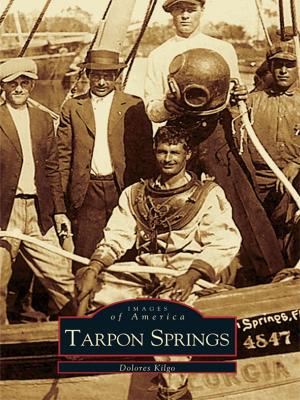 Cover of the book Tarpon Springs by Steve Ruskin