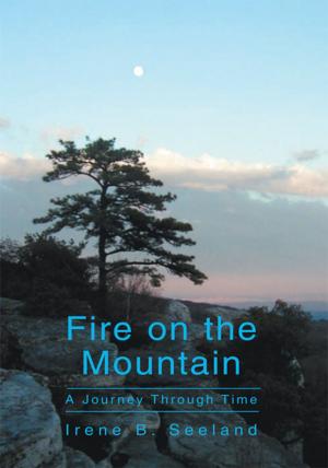 Cover of the book Fire on the Mountain by Jeannette P. Morada