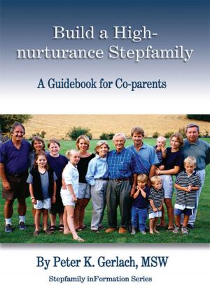 bigCover of the book Build a High-Nurturance Stepfamily by 