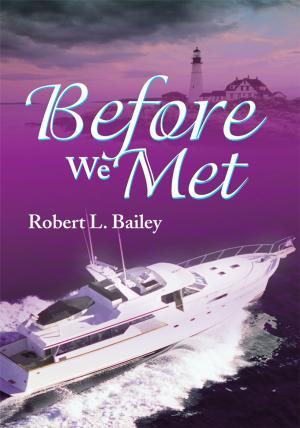 Cover of the book Before We Met by Rochelle Melanie