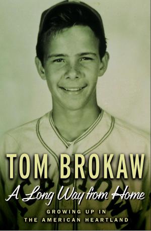 Cover of the book A Long Way from Home by Thomas Perry