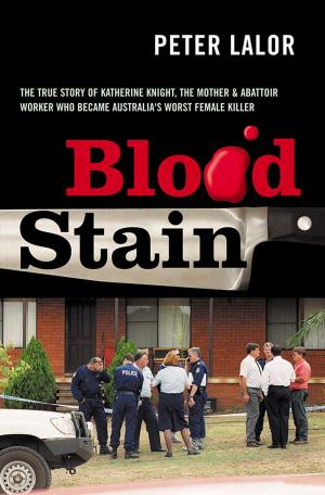 Book cover of Blood Stain