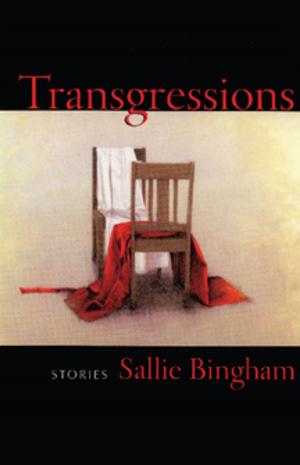 Cover of the book Transgressions by Jordan Zandi