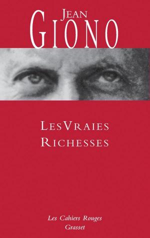 Cover of the book Les vraies richesses by Alain Minc