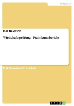 Cover of the book Wirtschaftsprüfung - Praktikumsbericht by Martina Traxler