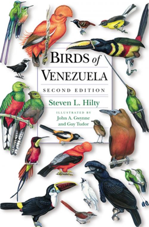 Cover of the book Birds of Venezuela by Steven L. Hilty, Princeton University Press