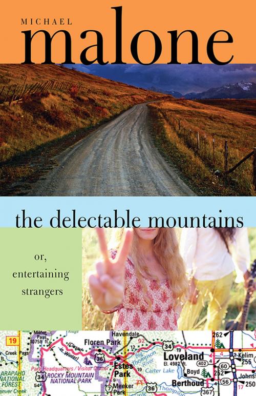 Cover of the book The Delectable Mountains by Michael Malone, Sourcebooks