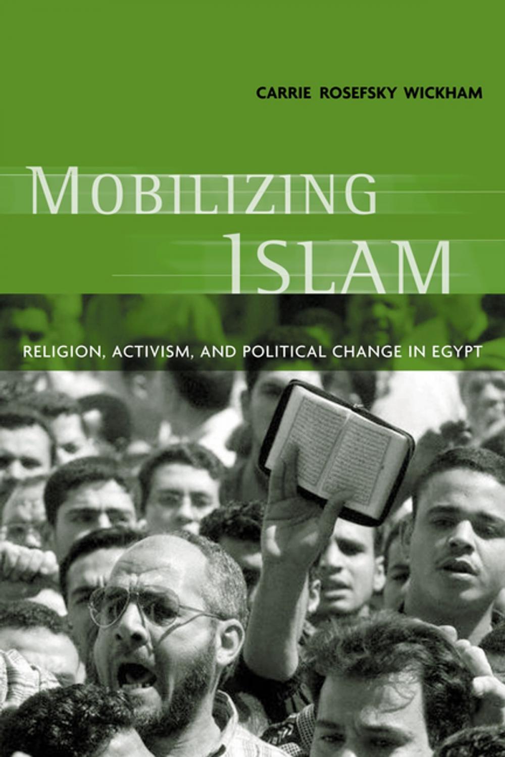 Big bigCover of Mobilizing Islam