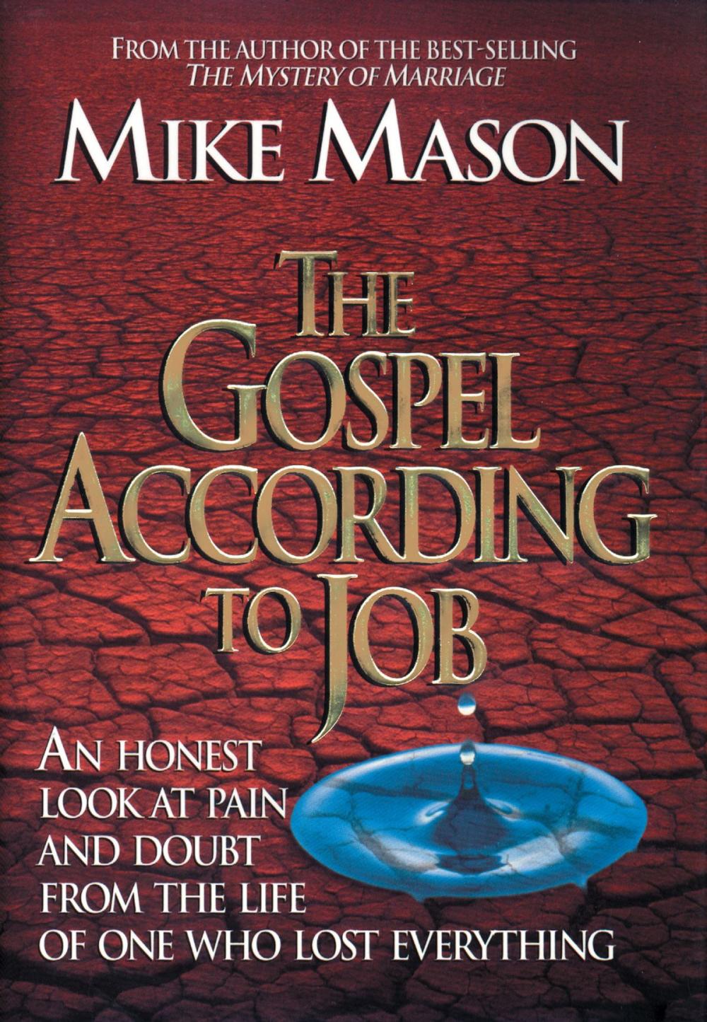 Big bigCover of The Gospel According to Job