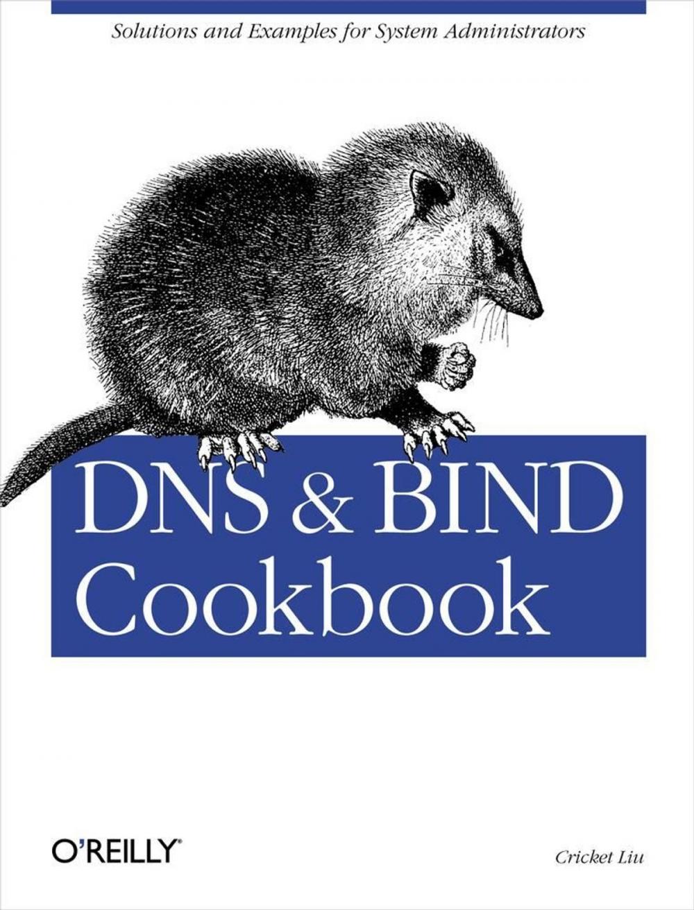 Big bigCover of DNS & Bind Cookbook