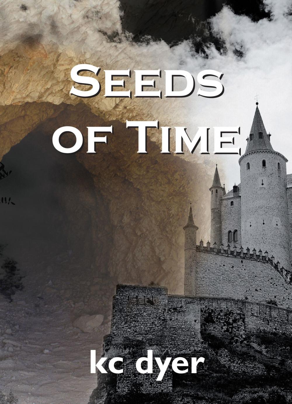 Big bigCover of Seeds of Time