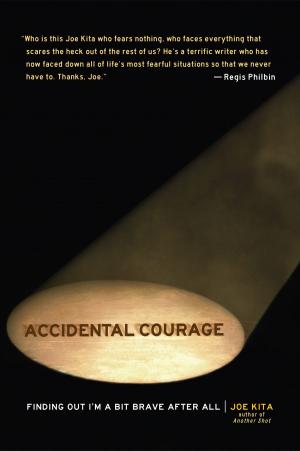 Cover of the book Accidental Courage by Jill Conner Browne
