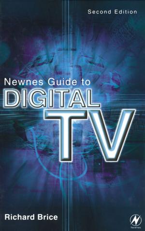 Book cover of Newnes Guide to Digital TV