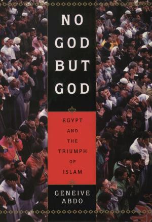 Cover of the book No God but God by 