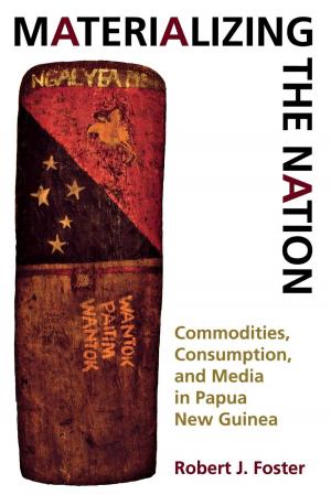 Book cover of Materializing the Nation