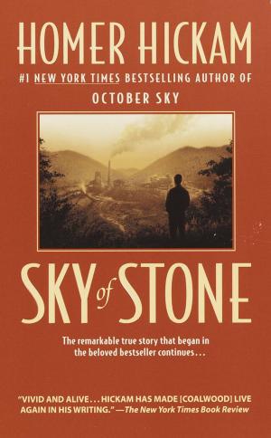 Cover of the book Sky of Stone by Louis L'Amour