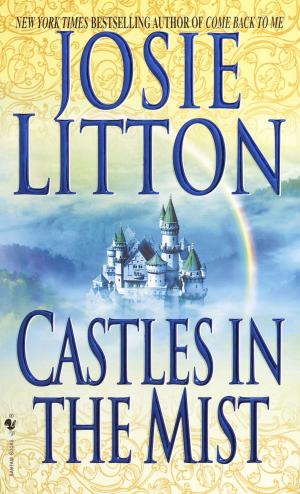 Cover of the book Castles in the Mist by Sharon Solwitz