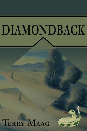 Cover of the book Diamondback by D.C. Quillan Stone
