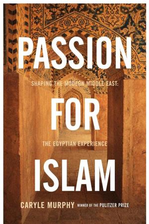 Cover of the book Passion for Islam by Don DeLillo