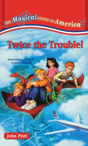 Cover of the book Twice the Trouble by Franklin W. Dixon