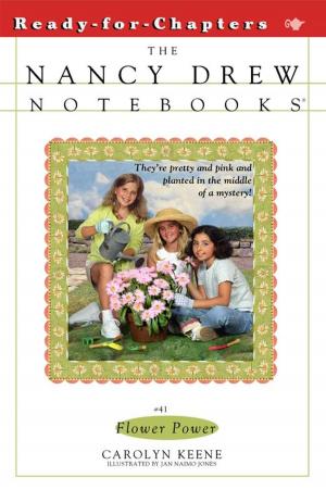 Cover of the book Flower Power by Judy Katschke