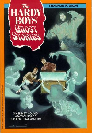 Cover of the book Ghost Stories by Elizabeth Shreeve