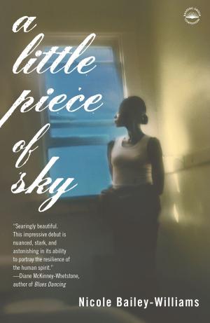 bigCover of the book A Little Piece of Sky by 