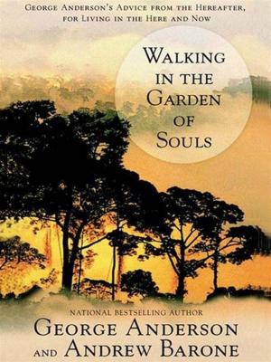 Cover of the book Walking in the Garden of Souls by Erica Jong