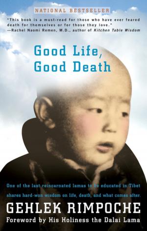 Cover of the book Good Life, Good Death by William Easterly