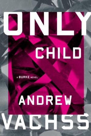 Cover of the book Only Child by James Vineyard