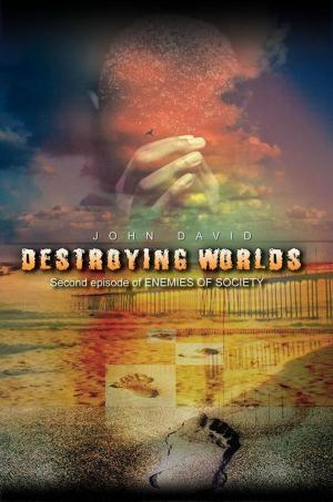 Cover of the book Destroying Worlds by Larry Vandeventer
