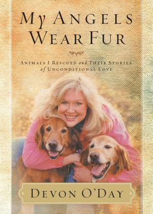 bigCover of the book My Angels Wear Fur by 