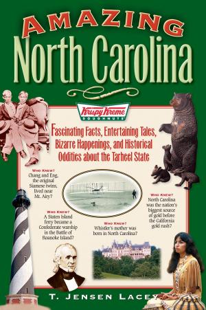 Cover of the book Amazing North Carolina by Dennis Rainey