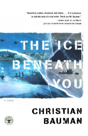 Cover of The Ice Beneath You