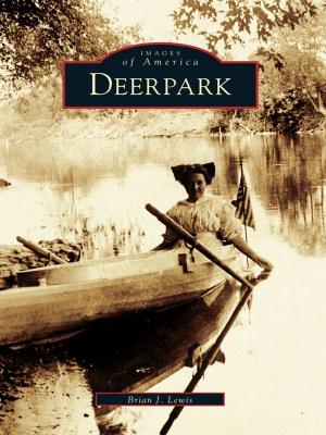 bigCover of the book Deerpark by 