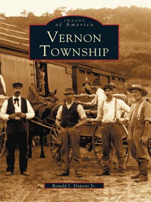 Cover of the book Vernon Township by Joseph G. Bilby