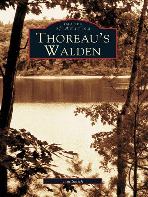 Cover of the book Thoreau's Walden by Barbara Stodola