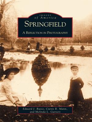 Cover of the book Springfield by Steve Roberts, Lee Brockington