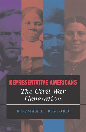 Cover of the book Representative Americans by Sebastian Heilmann, Dirk H. Schmidt