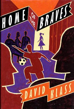 Book cover of Home of the Braves