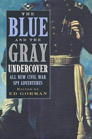 Cover of the book The Blue and the Gray Undercover by Harold Robbins