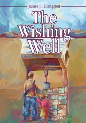 Cover of the book The Wishing Well by Dragan Vujic