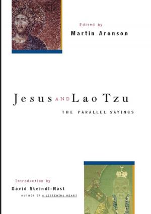 Cover of the book Jesus and Lao Tzu by Dave Randolph