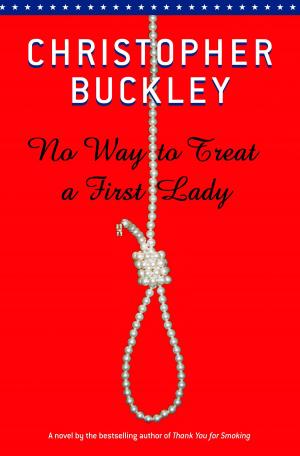 Cover of the book No Way To Treat a First Lady by Jill McGown