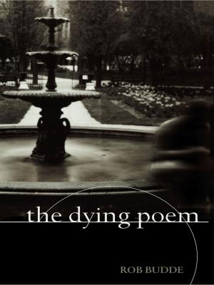Cover of the book The Dying Poem by Martin Vaughn-James