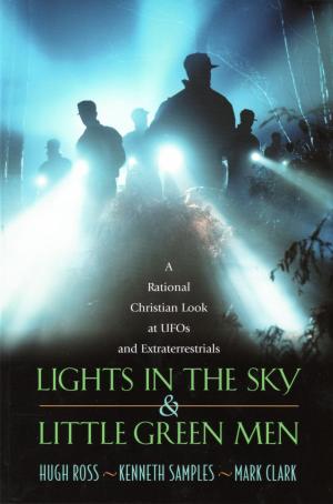 Book cover of Lights In the Sky & Little Green Men