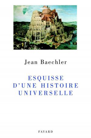 Cover of the book Esquisse d'une histoire universelle by Christophe Donner